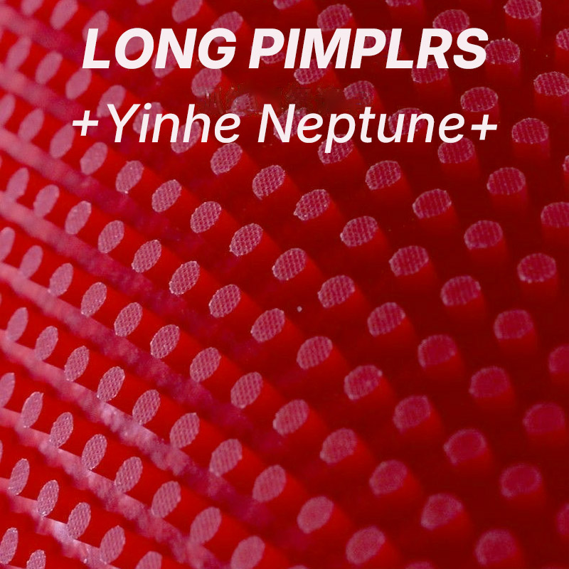 ยางปิงปอง YINHE NEPTUNE แบบปุ่ - Table Tennis Is Played With A บทวิจารณ์และราคา